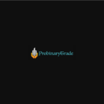 probinarytradex логотип