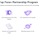 Информация о фирме MTrading