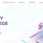 Проект Purple Trading