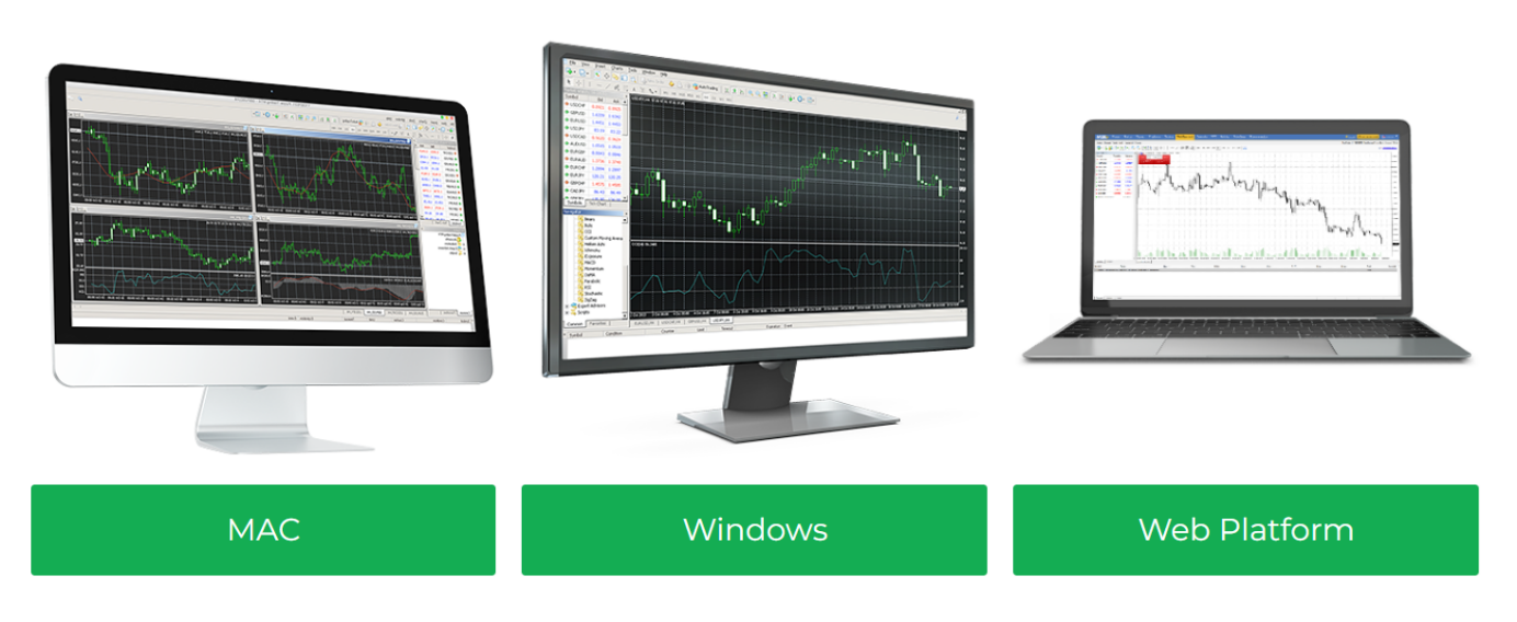 Вывод средств у Purple Trading